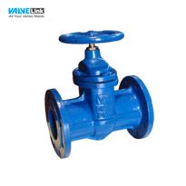 Van cổng Visvana F5