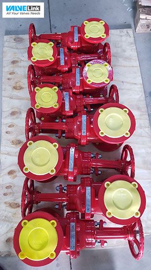 phân phối van cổng DN25 - DN200