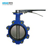 Van bướm tay gạt Visvana