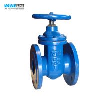 Van cổng Visvana F4