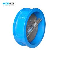 Van một chiều cánh bướm Visvana