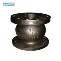 Van một chiều lò xo Visvana