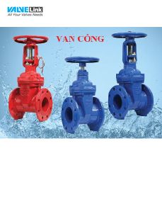 van cổng chính hãng