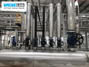 ứng dụng van cầu 