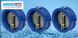 Van 1 chiều cánh bướm