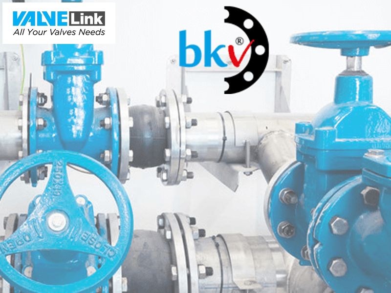 Van công nghiệp BKV