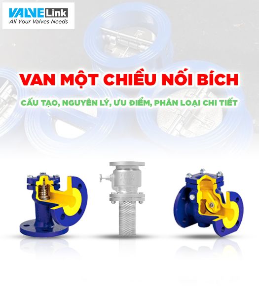 Các loại van một chiều nối bích